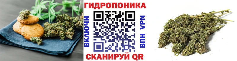 Cannafood конопля  закладки  Приозерск 