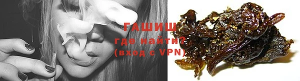 шишки Сатка